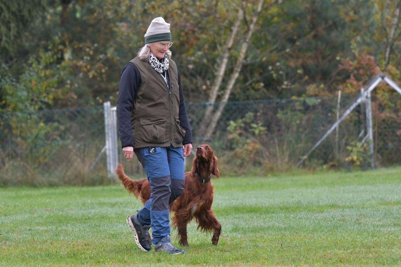 Irish Red Setter Ella von Irish Windlooper's bei der Fußarbeit während der Begleithundeprüfung auf der Wiese
