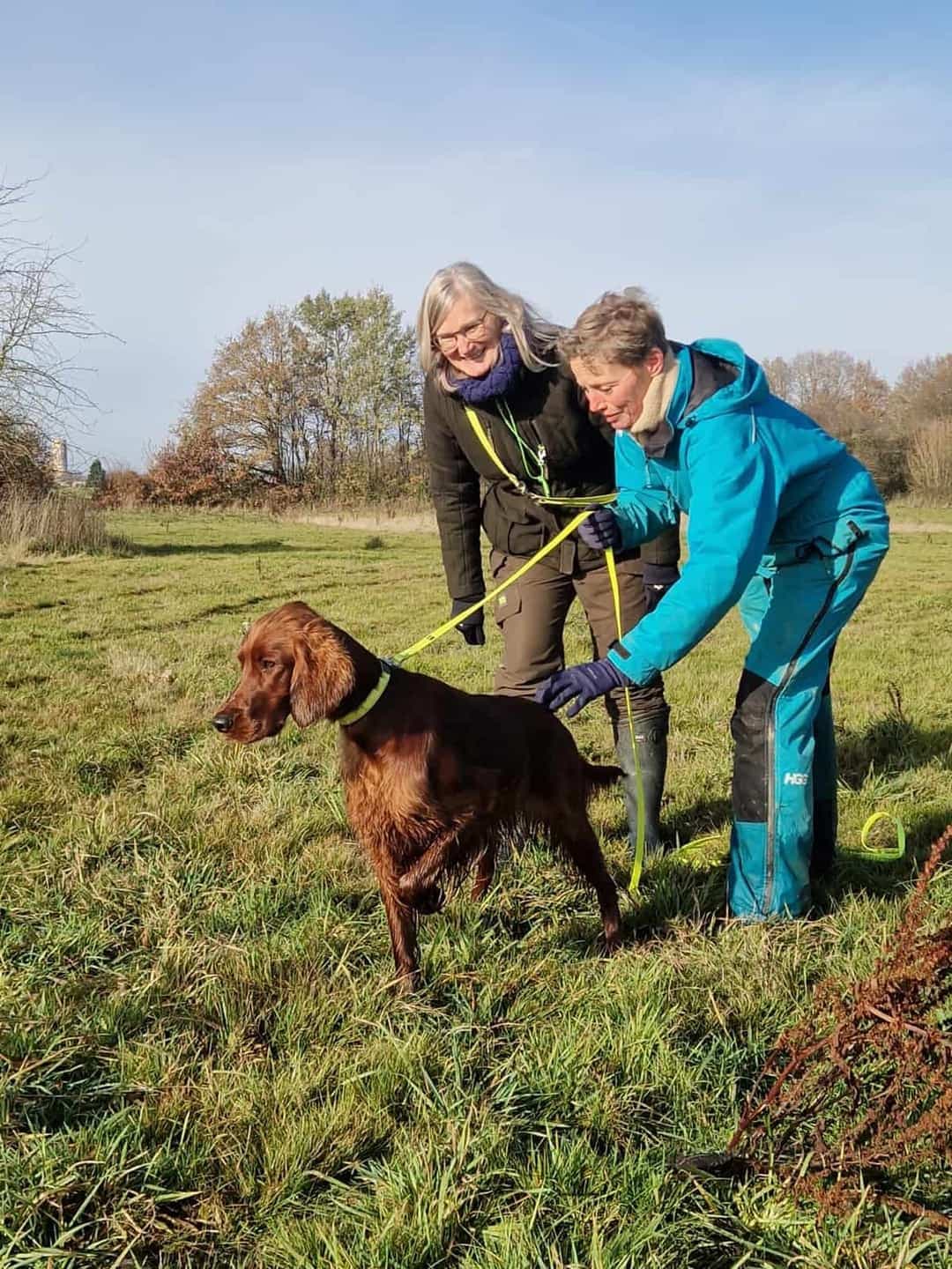 Irish Red Setter von Irish Windlooper's beim Feldtraining mit Ausbilderin Johanna in Frankreich