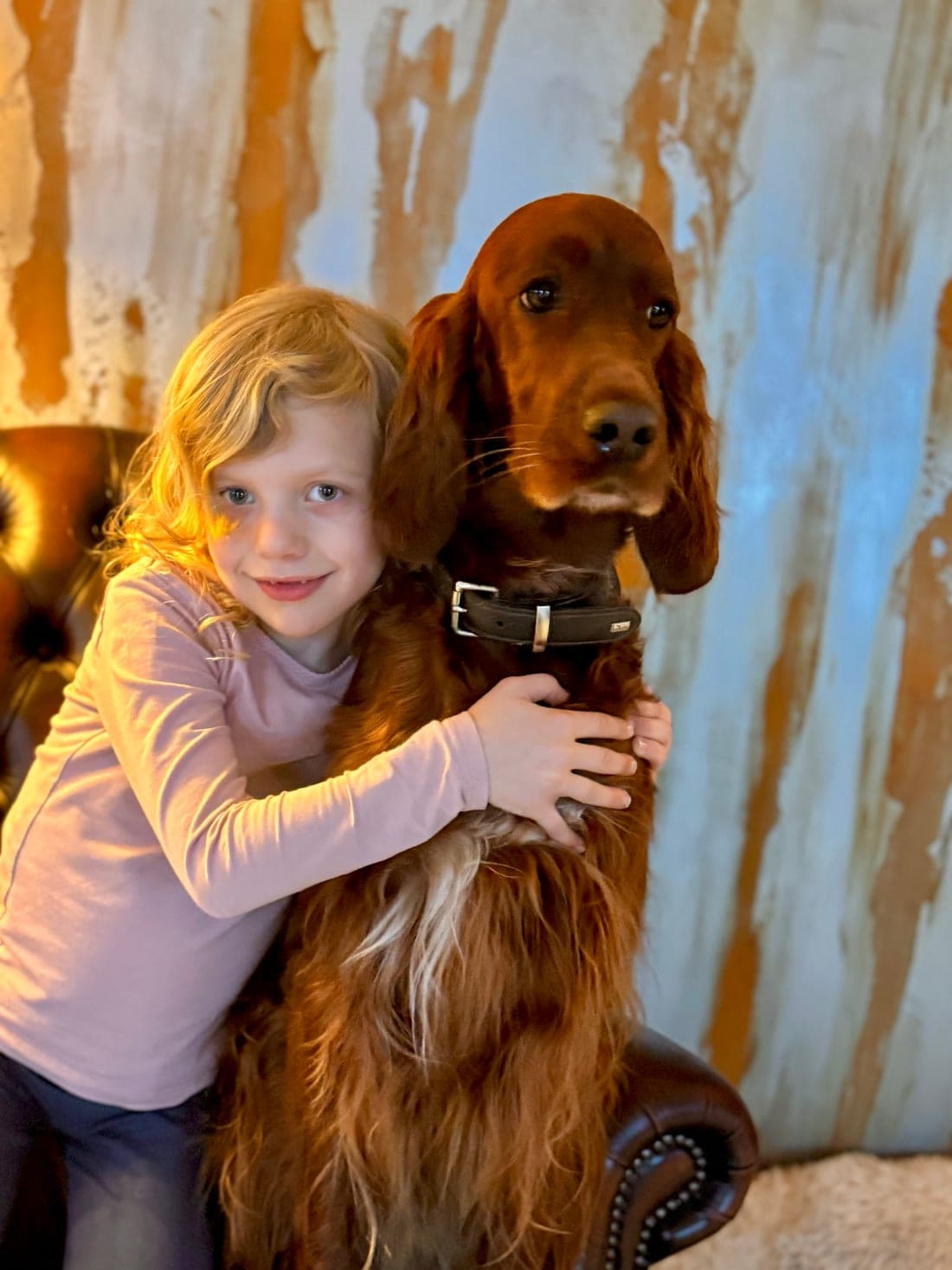 Irish Red Setter von Irish Windlooper's wird liebevoll von einem kleinen Mädchen umarmt