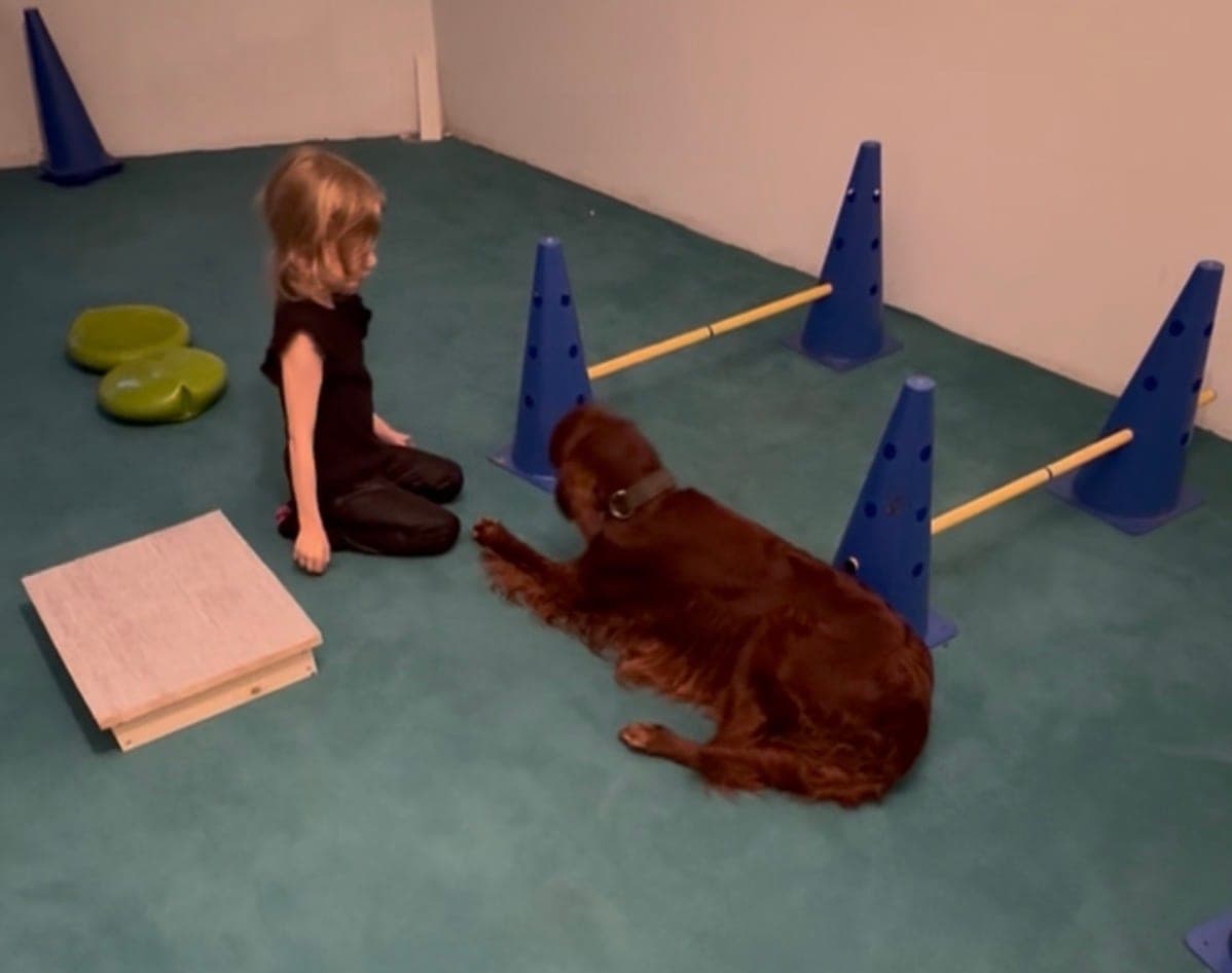 Irish Red Setter von Irish Windlooper's liegt entspannt neben einem Kind beim gemeinsamen Training in der Halle