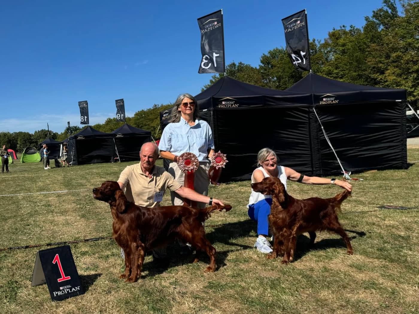 Siegerfoto mit zwei Irish Red Settern und der Platz-1-Tafel bei einer Purina-Hundeausstellung