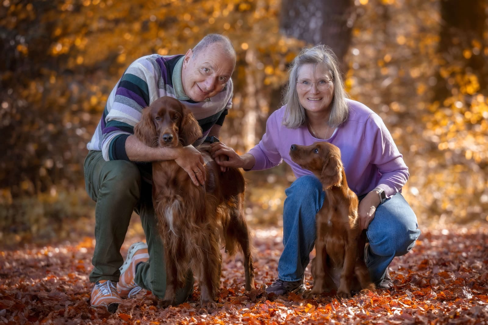 Oliver und Heike von Irish Windlooper's mit ihren zwei Irish Red Settern im herbstlichen Wald der Südeifel