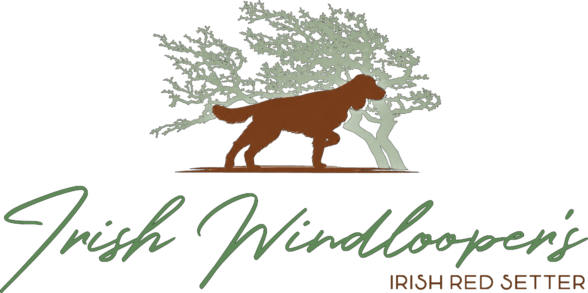Logo der Zuchtstätte Irish Windlooper's mit Irish Red Setter vor einem windgeformten Baum